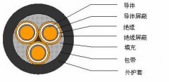 3*2.5，3*3，3*4，3*6，3*10，3*16，3*25屏蔽電纜結(jié)構(gòu)圖