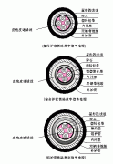 鐵路數(shù)字信號電纜